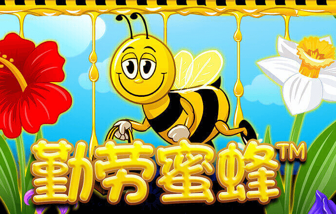杏仁入口官网